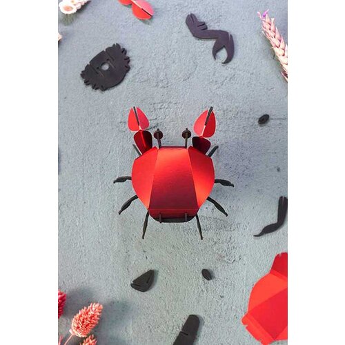 Assembli Paper Beach Crab Insect Puzzle