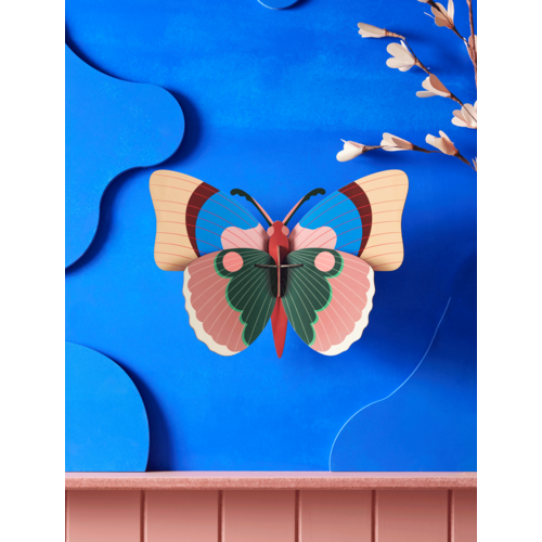 Studio Roof Butterfly Cepora Wall decoration TTM184