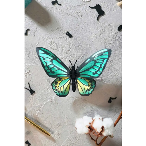 Assembli  Papieren Groene Vlinder Birdwing 3D Insecten puzzel