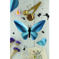 Paper Birdwing Butterfly  Blue