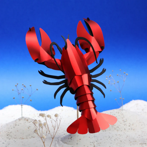 Assembli  Paper lobster Marine Life 3D