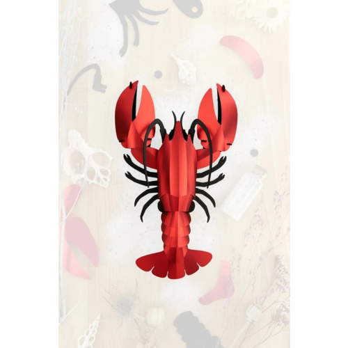 Assembli  Paper lobster Marine Life 3D