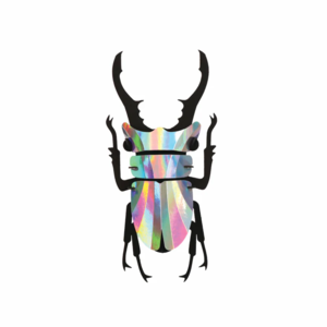 Assembli  3D Paper Stag Beetle Rainbow Mirror