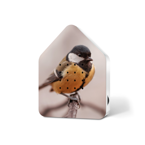 Relaxound Zwitscherbox Met Vogelgeluiden Great Tit Relaxound Zwitscherbox Met Vogelgeluiden Great Tit