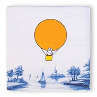Adventurous Miffy Small