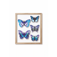 DIY-Dekoration Schmetterlingsset Blau