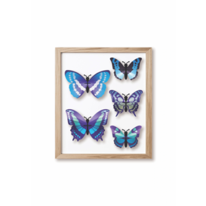 Assembli  DIY-Dekoration Schmetterlingsset Blau