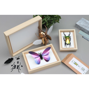 Assembli  Wooden Frame Natural different sizes