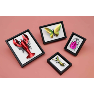 Assembli  Wooden Frame Black different sizes