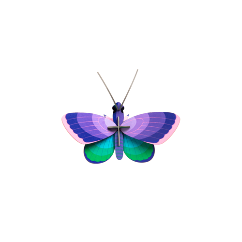Studio Roof wanddekoration Blauer Kupferschmetterling Studio Roof wanddekoration Blauer Kupferschmetterling