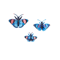 Peacock Butterflies, set of 3