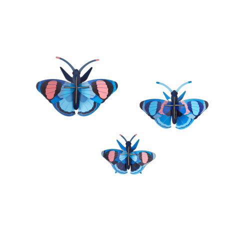 Studio Roof Peacock Butterflies, set of 3 Studio Roof Peacock Butterflies, set of 3