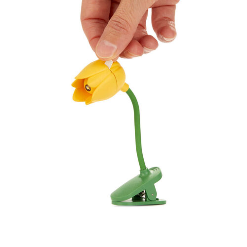 Balvi Book light yellow tulip