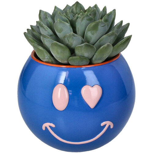 Planter Smiley Blue Kersten