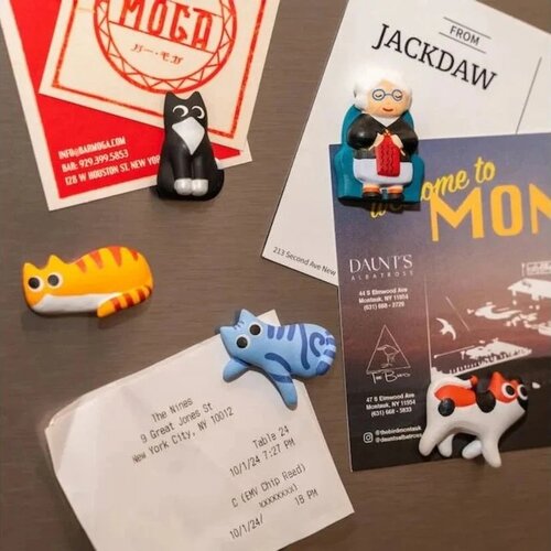 Kikkerland Cat lady Magnets
