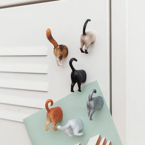 Kikkerland Dieren magneten kattenkont