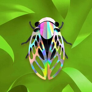 Assembli  3D muurdecoratie papieren insecten Cicade
