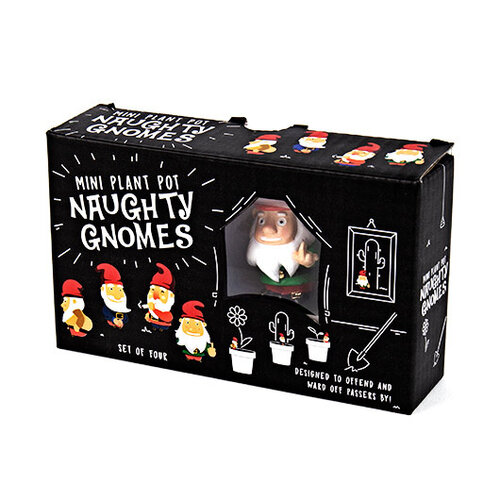 Gift Republic Mini plant pot naughty gnomes Gift Republic Mini plant pot naughty gnomes