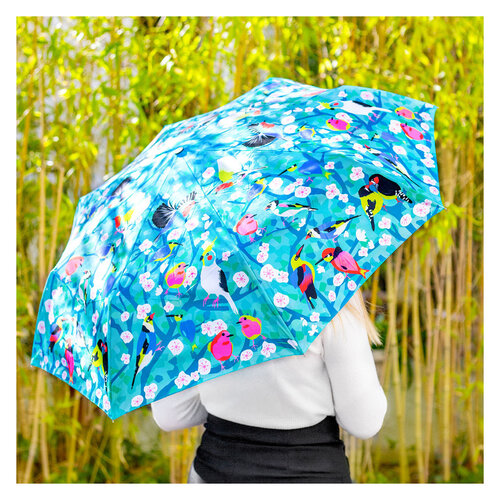 Pylones Paraplu Vogels Pylones Paraplu Vogels