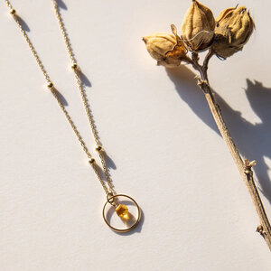 Vinoos by AMS Halskette Amber Time To Shine Vinoos by AMS Halskette Amber Time To Shine