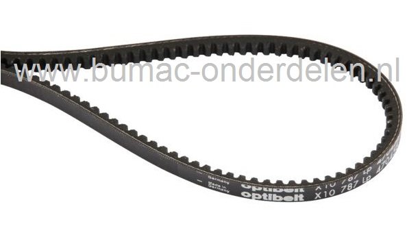 V snaar voor ALKO - BRILL Benzinemaaiers, Aandrijfriem Alko 5300BRV ALU, Powerline 5300 BRV, Powerline 5300 BRVC, Silver Premium 530 BRV ALU, Brill 53XLRV Aluline Quattro, RSM53, Getande Snaren, Riemen voor Aandrijving Grasmaaiers, Cirkelmaaiers van Al-ko