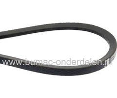 V snaar voor Aandrijving van de Freesmessen bij Alko Concord Combi BF5002-R Tuinfrees, Hakfrees, Aandrijfriem voor Alko Concord Combi BF 5002-R Frees Aandrijving Messen Alko Balkmaaier BM660, BM660/II, BM870, BM870/II, BM875/II