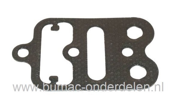 Cilinderkoppakking voor Briggs and Stratton Motoren van 2 t/m 7 Pk, Verticale - Horizontale Krukas, Modellen 110402, 121412, 128602, Benzinemaaiers, Grasmaaiers, Cirkelmaaiers, B&S Afdichtingen Cylinders, Pakkingen BRIGGS AND STRATTON 60 Intek Edge OHV