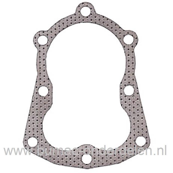 Cilinderkoppakking voor Tecumseh Motoren H40, H50, H60, HH40, HH50, HH60, HSK50, HSK60, SBH, SBV, TVM125, TVM140, V40, V50, V60, VH40, VH50, VH60, TECUMSEH Cilinderafdichtingen, Pakkingen en Afdichtingen Cylinders
