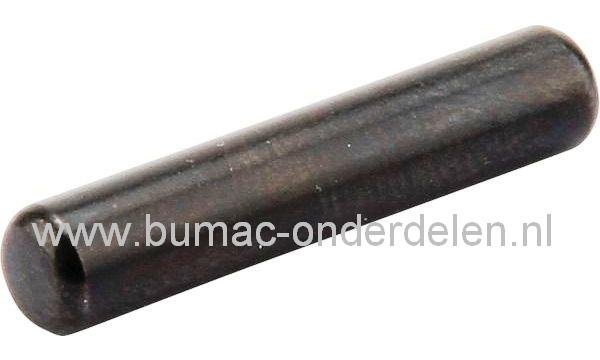 Pal - Stift voor Aandrijving Tandwiel Wielaandrijving bij onder andere Alko en Solo Grasmaaier Primo 550 HR, Primo 550 HRM, Primo 550 R, Primo 550 RS, 550 HR, 550 R, 550 RS Grasmachine