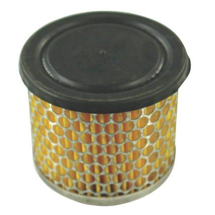 Luchtfilter voor Bernard Moteur 364 (BM102 - BM104) Motoren op Grasmaaier, Benzinemaaier, Cirkelmaaier, Gazonmaaier, Loopmaaier, 364, F014541.