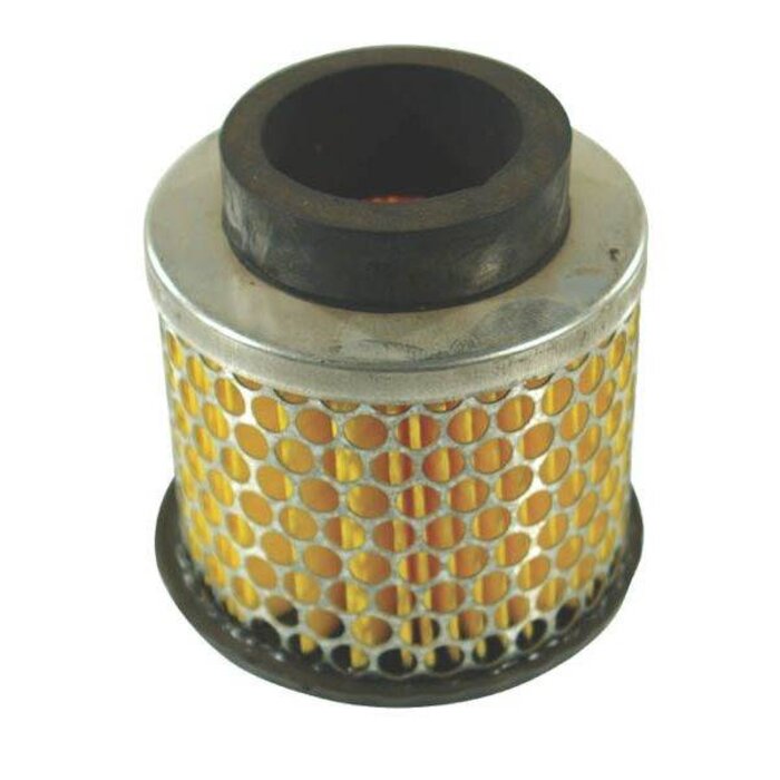 Luchtfilter voor Bernard Moteur 364 (BM102 - BM104) Motoren op Grasmaaier, Benzinemaaier, Cirkelmaaier, Gazonmaaier, Loopmaaier, 364, F014541.