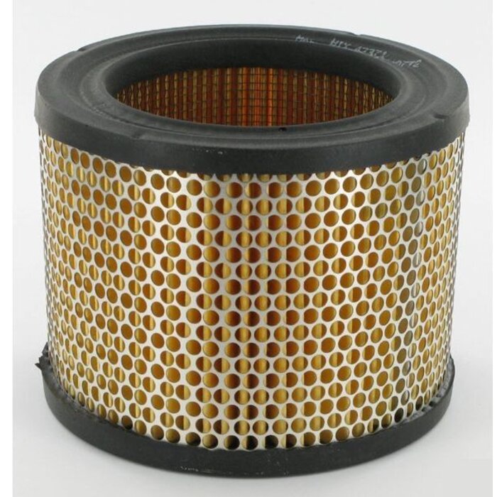 Luchtfilter voor Onan BFA - BGA - CKA - CCKB - NH - NHB - NHC Motoren met een Horizontale Krukas op Generator, Aggregaat, Trilplaat, Houtversnipperaar, Tuinfrees, Waterpomp