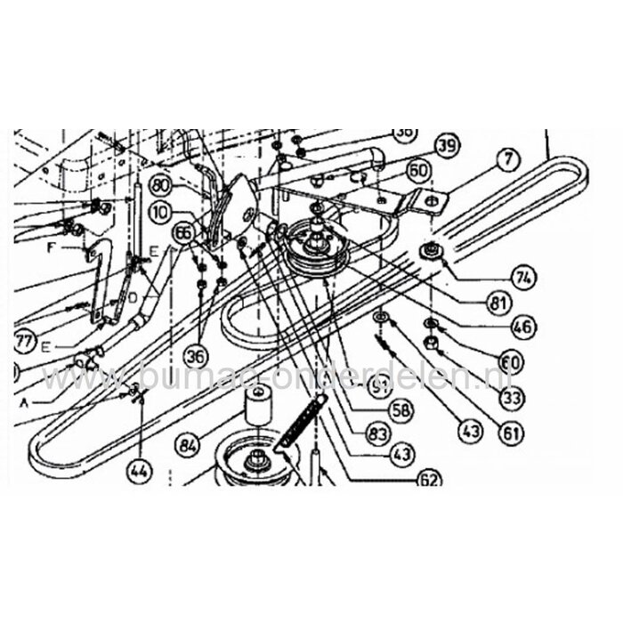 V snaar voor Aandrijving van de Hydrostaat - Versnellingsbak - Wielen voor MTD - Wolf - Bolens - Cub Cadet - Yardman - White, V snaar Rijaandrijving voor Zitmaaier - Frontmaaier - Tuintrekker, Mtd 125/92 - Eurotrac 155/92 - 125-92 - 13AH455E600