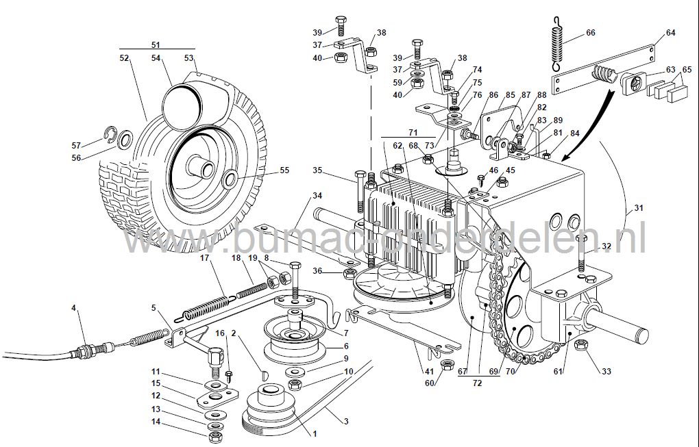 V snaar Rijaandrijving voor Castel Garden - Mountfield, Alpina  Zitmaaiers - Frontmaaiers 63Y, 735M, C63MG, CG6/63M, EB6/63M, Garden Compact E, Garden Compact T, GB6/63M, GT6/63M, HTE63, R25M, SR6367, TG6/63E, TP5/63, XE70, XE75