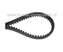Tandriem 80 Tands voor Wolf Verticuteermachines UV-EB, WOLF Aandrijfriem getand voor Aandrijving van de Wals, Getande V-snaar van Motor naar Beluchtingsas bij WOLF Verticuteerders, Beluchters, Wolf, MTD, Cub  Cadet, Bolens,