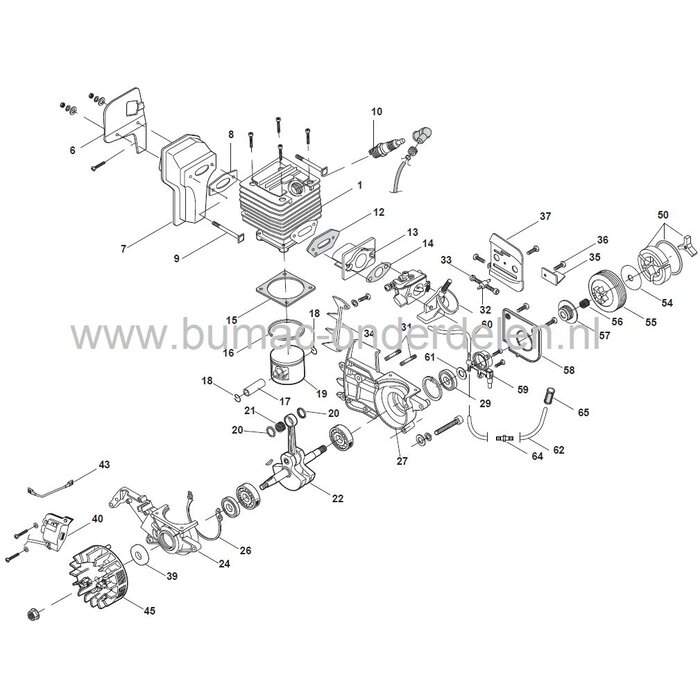 XC3700, Naaldlager voor Motorzaag, Kettingzaag van Castelgarden, Stiga, Alpina, Mountfield, Kettingzaag, Motorzaag, Naald Lager, Castel Garden