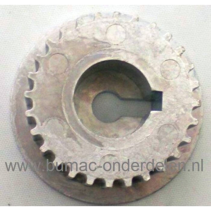 Getande Poelie 28 Tands voor Aandrijving van de Messen bij MTD, Kynast Verticuteermachine TSV40B - V40G - V41BL - V42BL - 35V-405, 35V-406 Getande Pouly, Tandwiel zit op de As van de Motor