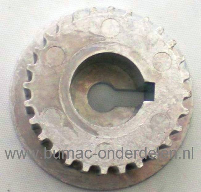 Getande Poelie 28 Tands voor Aandrijving van de Messen bij MTD, Kynast Verticuteermachine TSV40B - V40G - V41BL - V42BL - 35V-405, 35V-406 Getande Pouly, Tandwiel zit op de As van de Motor