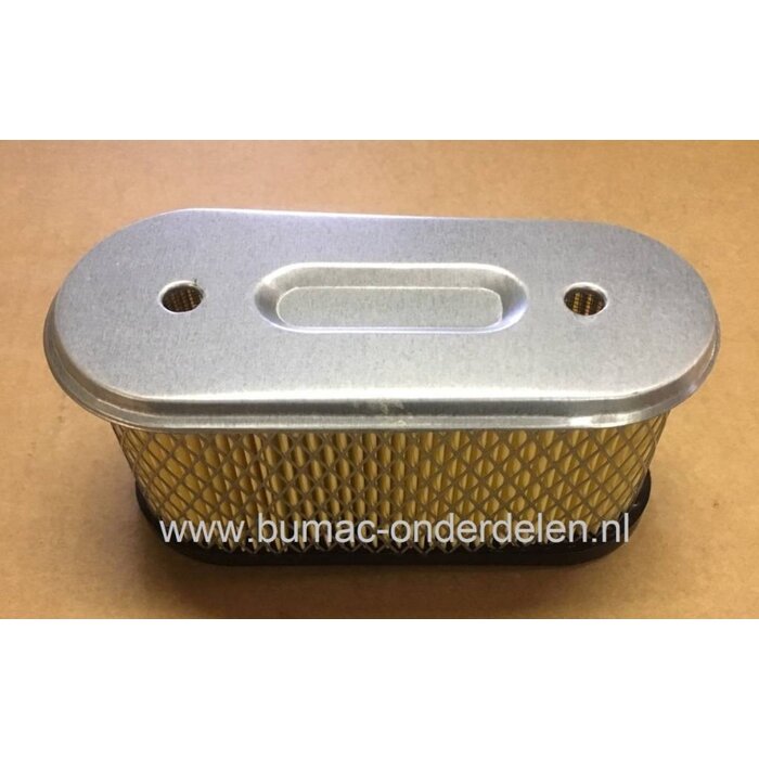 Luchtfilter voor Briggs and Stratton 260700 - 261700 Vanguard Motoren met 1 Cilinder en 12,5 - 14 PK op Zitmaaiers, Frontmaaiers, Tuintrekkers