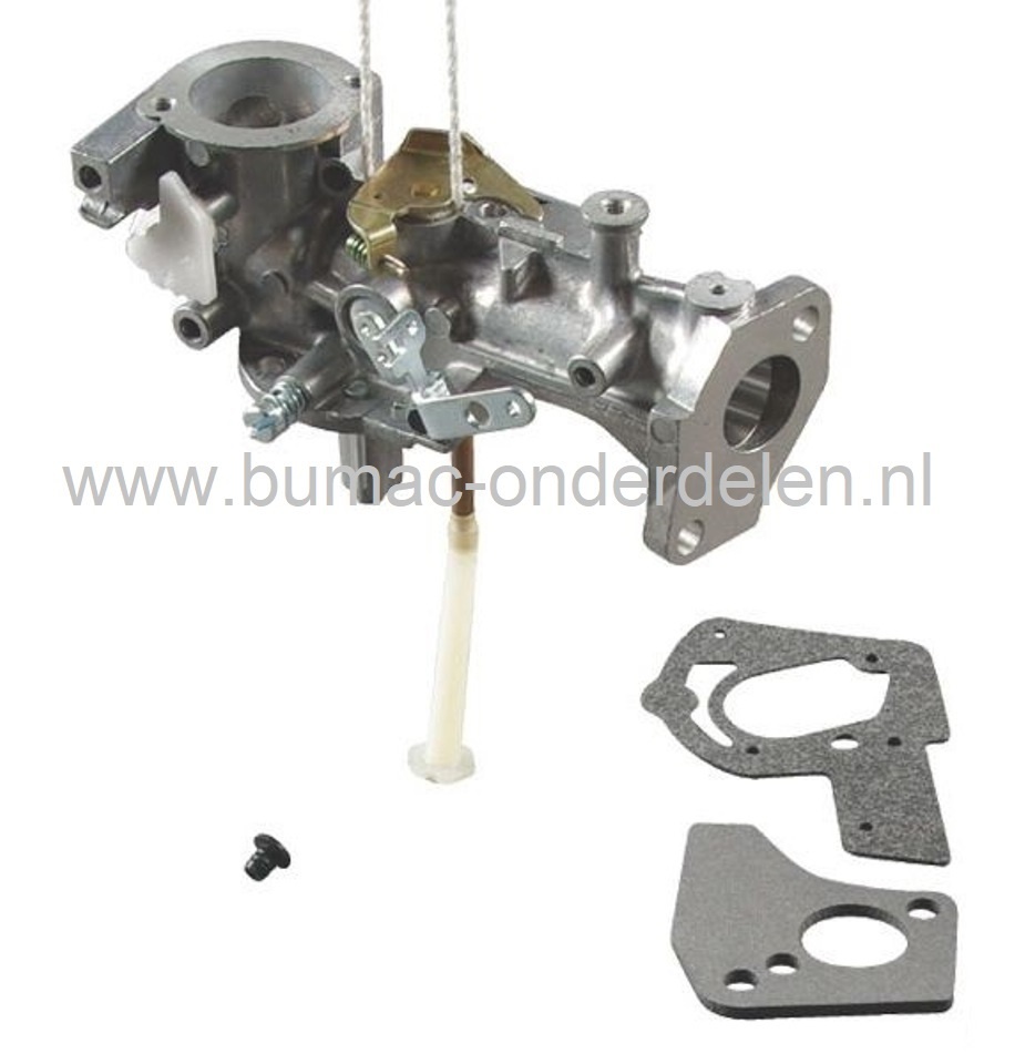 Carburateur voor Briggs and Stratton Motoren met 2 - 5 PK en een Horizontale Krukas op Generator, Trilplaat, Kooimaaier, Houtversnipperaar, Waterpomp, Tuinfrees, Aggregaat, B&S, B en S, 495459, 492645