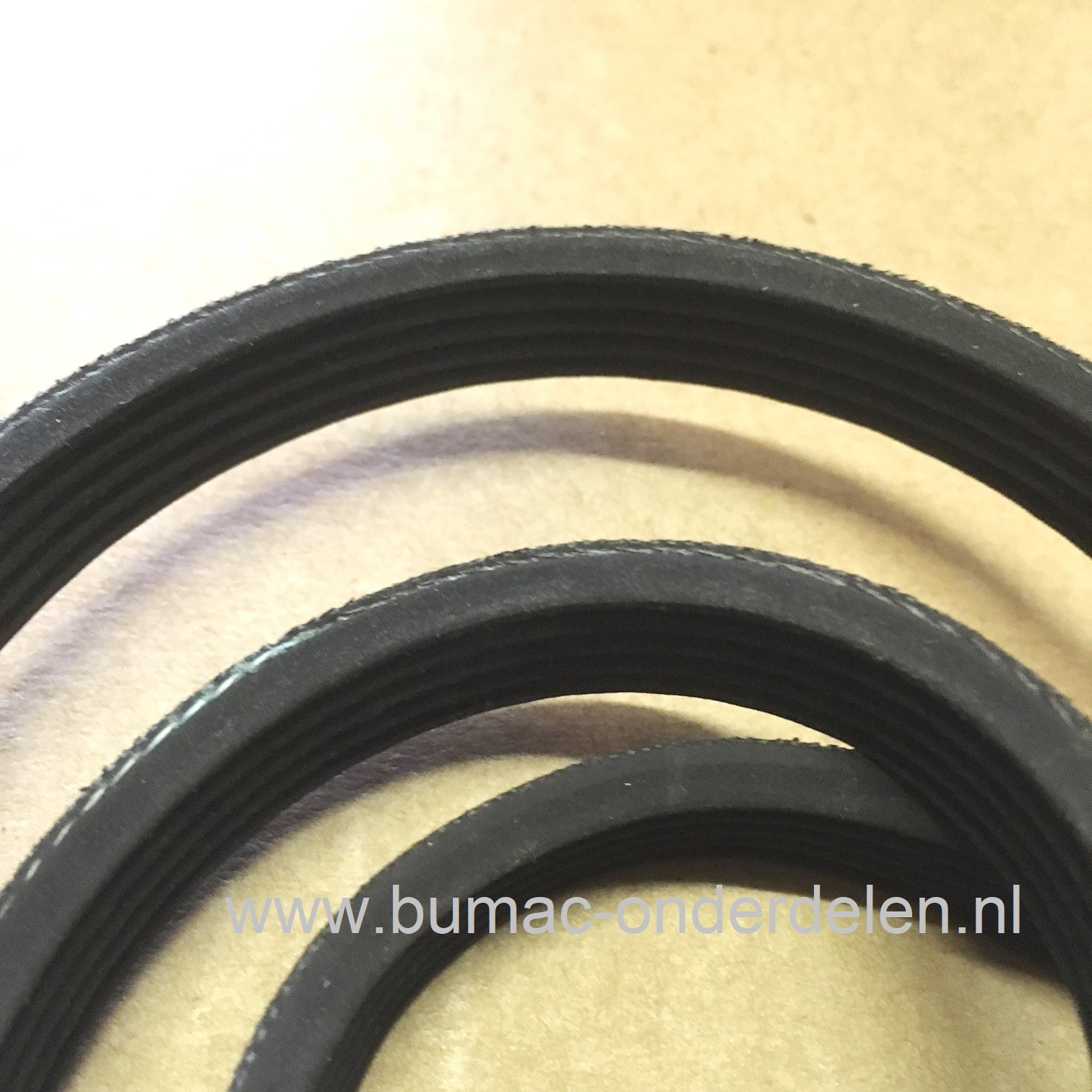 Aandrijfriem voor Stihl TS410, TS420, TS480i, TS500i Bandenzaag - Motorslijper - Doorslijper - Doorslijpmachine, Ribbenband Betonzaag Stihl TS 410, TS 420, TS 480i, TS 500i, onderdeel