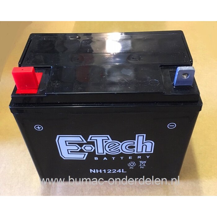 Degelijke Accu 12 V 24 Ampere Onderhoudsvrij voor het starten van Zitmaaiers, Frontmaaiers, Trilplaten, Frontmaaiers, Quad, Trekkers Batterij Stiga, MTD, CastelGarden, Viking, Husqvarna, Alko, Jonsered, Wizard, Wolf, Honda, Murray, Kubota, JohnDeere, Isek