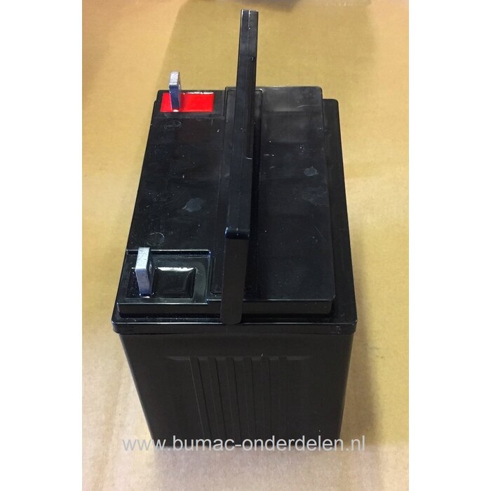 Degelijke Accu 12 V 24 Ampere Onderhoudsvrij voor het starten van Zitmaaiers, Frontmaaiers, Trilplaten, Frontmaaiers, Quad, Trekkers Batterij Stiga, MTD, CastelGarden, Viking, Husqvarna, Alko, Jonsered, Wizard, Wolf, Honda, Murray, Kubota, JohnDeere, Isek