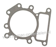 Koppakking voor Briggs and Stratton Motor op Zitmaaier, Frontmaaier, Tuintrekker Cilinderpakking, Dichting B&S