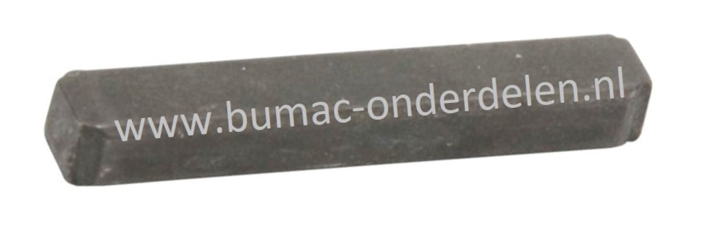 Vliegwiel Spie voor Briggs and Stratton Motor op Grasmaaier, Zitmaaier, Frontmaaier, Zero Turn Maaier Vliegwielspie