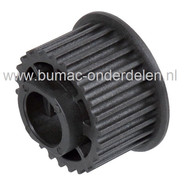 Motorpoelie voor Alko, Brill, Solo Verticuteermachines, BRILL VE-38, 38VE, Getande Motorpoelie, Riemschijf, Pouly, Brill VE38, AL-KO