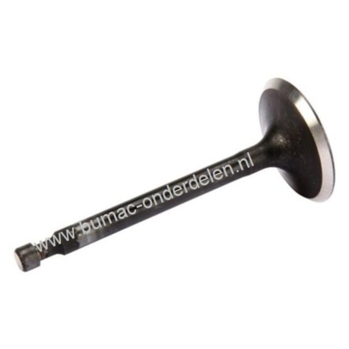 Inlaatklep voor Honda GCV520, GCV530, GXV520 en GXV530 Motoren op Zitmaaiers, Frontmaaiers, Tuintrekkers, HONDA Inlaat Klep, GCV 520, GCV 530, GXV 520, GXV 530, Honda Motordelen