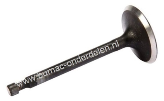 Inlaatklep voor Honda GCV520, GCV530, GXV520 en GXV530 Motoren op Zitmaaiers, Frontmaaiers, Tuintrekkers, HONDA Inlaat Klep, GCV 520, GCV 530, GXV 520, GXV 530, Honda Motordelen