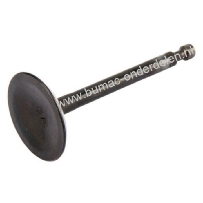 Inlaatklep voor Honda GCV520, GCV530, GXV520 en GXV530 Motoren op Zitmaaiers, Frontmaaiers, Tuintrekkers, HONDA Inlaat Klep, GCV 520, GCV 530, GXV 520, GXV 530, Honda Motordelen