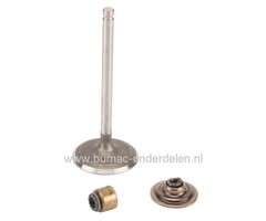 Inlaatklep met geleider en houder voor Briggs & Stratton 13 Pk IC Motoren op Zitmaaiers, Frontmaaiers, Tuintrekkers, B&S, Briggs and Stratton, onderdeel, inlaat klep, 210700, 210800, 212700, 212800, 212900, 214700, 214900, 215700, 215800, 215900, 216700,